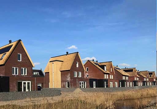Zonnepanelen op woningen met rieten daken